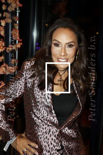 Amsterdam 23 oktober 2023
Presentatie nieuwe cover Kek Mama op event van Friends of the brands in het Lido . Patty Brard