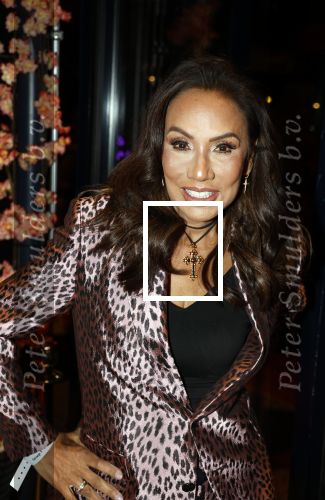 Amsterdam 23 oktober 2023
Presentatie nieuwe cover Kek Mama op event van Friends of the brands in het Lido . Patty Brard