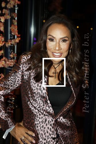 Amsterdam 23 oktober 2023
Presentatie nieuwe cover Kek Mama op event van Friends of the brands in het Lido . Patty Brard