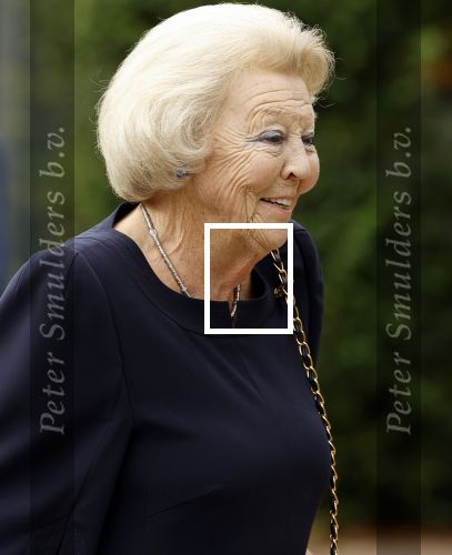 Soestdijk 7 oktober 2023
Prinses Beatrix is bij de walk voor het spierfonds waarvan de finish bij Paleis Soestdijk is.