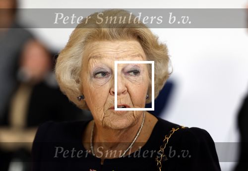 Soestdijk 7 oktober 2023
Prinses Beatrix is bij de walk voor het spierfonds waarvan de finish bij Paleis Soestdijk is.