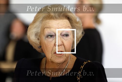 Soestdijk 7 oktober 2023
Prinses Beatrix is bij de walk voor het spierfonds waarvan de finish bij Paleis Soestdijk is.