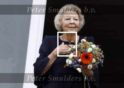 Soestdijk 7 oktober 2023
Prinses Beatrix is bij de walk voor het spierfonds waarvan de finish bij Paleis Soestdijk is.