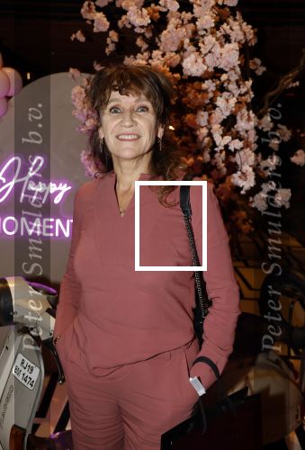 Amsterdam 23 oktober 2023
Presentatie nieuwe cover Kek Mama op event van Friends of the brands in het Lido . renee fokker