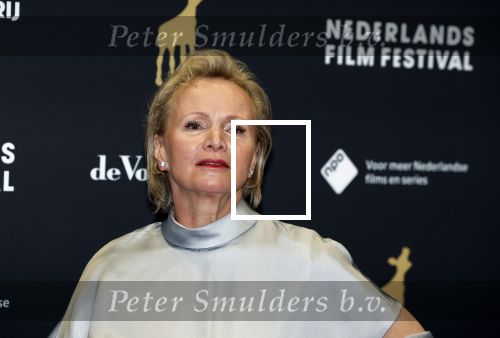Utrecht 29 september 2023
Uitreiking gouden kalveren in de schouwburg van Utrecht. Renee Soutendijk met man Thed Lensen