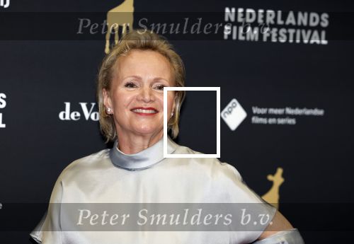 Utrecht 29 september 2023
Uitreiking gouden kalveren in de schouwburg van Utrecht. Renee Soutendijk met man Thed Lensen