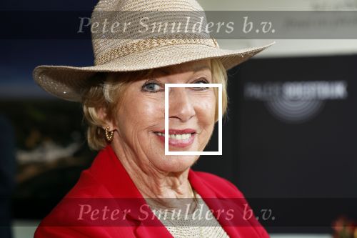 Soestdijk 4 oktober 2023
Presentatie LP Anneke Gronloh op Paleis Soestdijk.
Ria Valk met vriend
