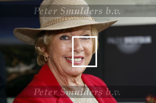 Soestdijk 4 oktober 2023
Presentatie LP Anneke Gronloh op Paleis Soestdijk.
Ria Valk met vriend