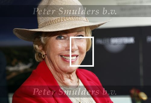 Soestdijk 4 oktober 2023
Presentatie LP Anneke Gronloh op Paleis Soestdijk.
Ria Valk met vriend