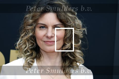 Utrecht 29 september 2023
Uitreiking gouden kalveren in de schouwburg van Utrecht. Rifka Lodeizen met haar dochter Pilar en dochter Franca