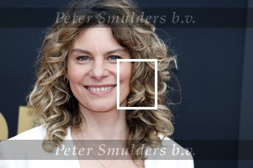 Utrecht 29 september 2023
Uitreiking gouden kalveren in de schouwburg van Utrecht. Rifka Lodeizen met haar dochter Pilar en dochter Franca