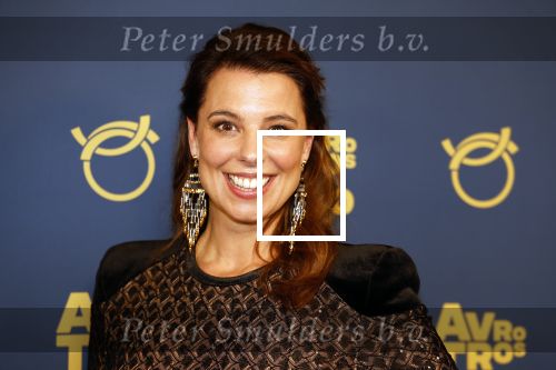 Amsterdam 12 oktober 2023
Televizierring 2023 in Carre .
Roos Moggre