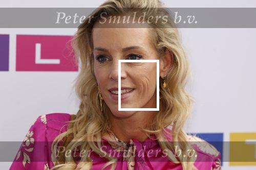 Amstelveen 27 september 2023
Perspresentatie RTL in het Amsterdamse Bos.
Roos Reedijk