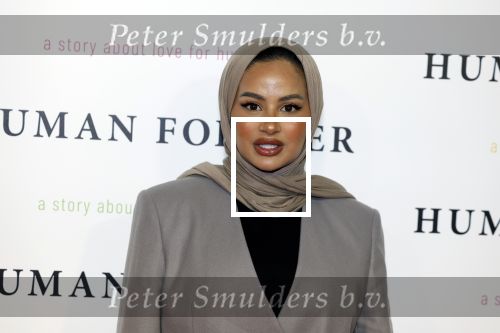 Amsterdam 9 oktober 2023
Premiere Human Forever door oa Teun Toebes in Tuschinski. Ruba Zai