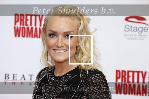 Utrecht 8 oktober 2023
Premiere Pretty Woman in het Beatrixtheater in Utrecht. Samantha Steenwijk met partner