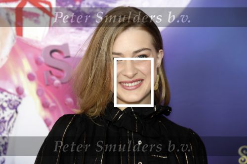 Amsterdam 30 september 2023
Premiere de Grote sinterklaasfilm in Pathe Noord.
Sara Robben