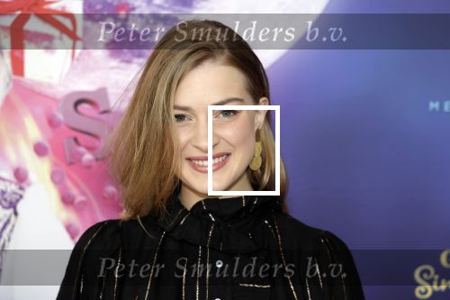 Amsterdam 30 september 2023
Premiere de Grote sinterklaasfilm in Pathe Noord.
Sara Robben