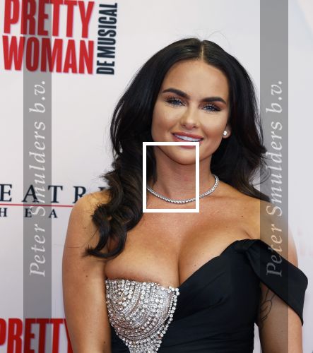 Utrecht 8 oktober 2023
Premiere Pretty Woman in het Beatrixtheater in Utrecht. sarah v Soelen