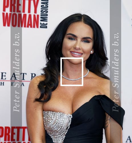 Utrecht 8 oktober 2023
Premiere Pretty Woman in het Beatrixtheater in Utrecht. sarah v Soelen