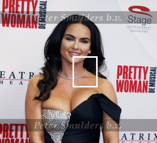 Utrecht 8 oktober 2023
Premiere Pretty Woman in het Beatrixtheater in Utrecht. sarah v Soelen