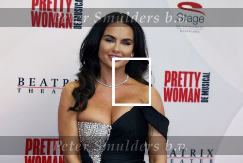 Utrecht 8 oktober 2023
Premiere Pretty Woman in het Beatrixtheater in Utrecht. sarah v Soelen