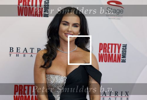 Utrecht 8 oktober 2023
Premiere Pretty Woman in het Beatrixtheater in Utrecht. sarah v Soelen