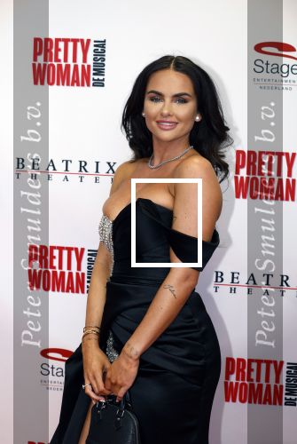 Utrecht 8 oktober 2023
Premiere Pretty Woman in het Beatrixtheater in Utrecht. sarah v Soelen