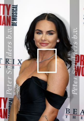 Utrecht 8 oktober 2023
Premiere Pretty Woman in het Beatrixtheater in Utrecht. sarah v Soelen