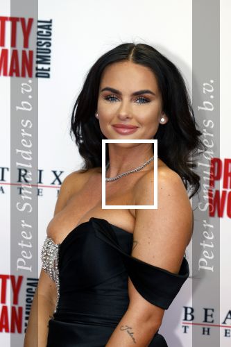 Utrecht 8 oktober 2023
Premiere Pretty Woman in het Beatrixtheater in Utrecht. sarah v Soelen
