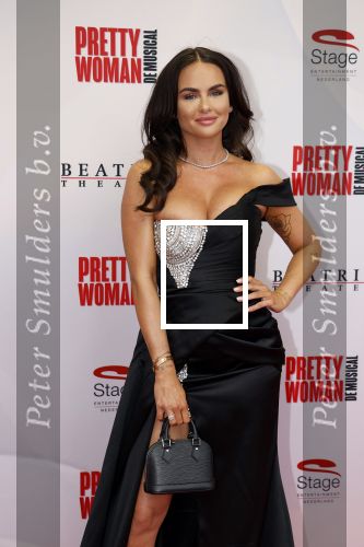 Utrecht 8 oktober 2023
Premiere Pretty Woman in het Beatrixtheater in Utrecht. sarah v Soelen