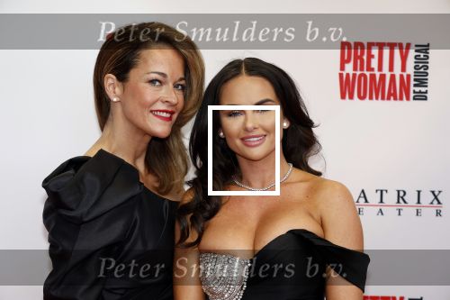Utrecht 8 oktober 2023
Premiere Pretty Woman in het Beatrixtheater in Utrecht. sarah v Soelen
