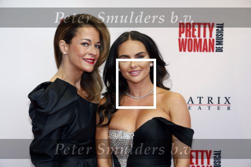 Utrecht 8 oktober 2023
Premiere Pretty Woman in het Beatrixtheater in Utrecht. sarah v Soelen