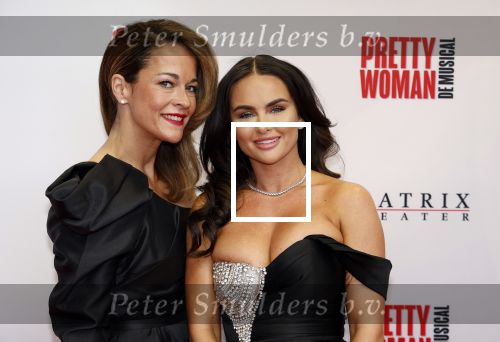 Utrecht 8 oktober 2023
Premiere Pretty Woman in het Beatrixtheater in Utrecht. sarah v Soelen