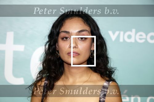 Amsterdam 10 oktober 2023
Premiere een grote familie in Tuschinski . Vidoeland gaat het uitzenden. Selin Akkulak