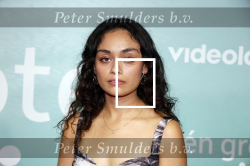 Amsterdam 10 oktober 2023
Premiere een grote familie in Tuschinski . Vidoeland gaat het uitzenden. Selin Akkulak