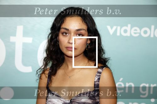Amsterdam 10 oktober 2023
Premiere een grote familie in Tuschinski . Vidoeland gaat het uitzenden. Selin Akkulak