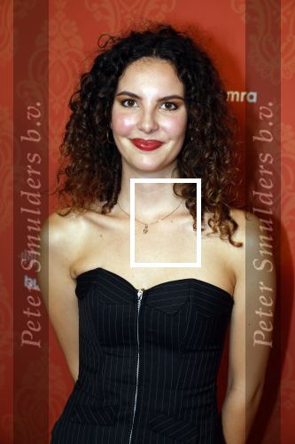 Tilburg 2 oktober 2023
Buma Prijzen in 013 in Tilburg . Shalisa van der Laan