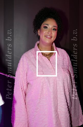 Amsterdam 23 oktober 2023
Presentatie nieuwe cover Kek Mama op event van Friends of the brands in het Lido . Soundos