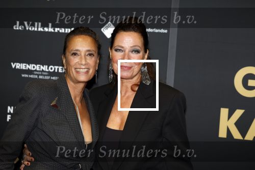 Utrecht 29 september 2023
Uitreiking gouden kalveren in de schouwburg van Utrecht. Suzanne Klemann met partner Minka Mooren