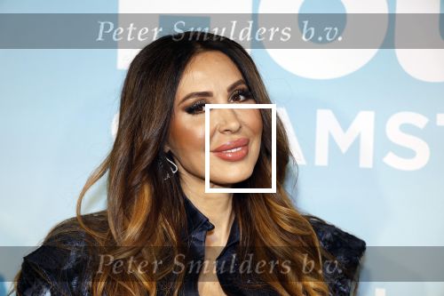 Amsterdam 25 oktober 2023
Presentatie seizoen 2 van The real housewives of Amsterdam in het College Hotel.
In seizoen 2 bestaat de cast uit Helle Huizinga Maria Tailor Susanna Klibansky Tamara Elbaz Kimmylien Nguyen en  Cherry Ann Person