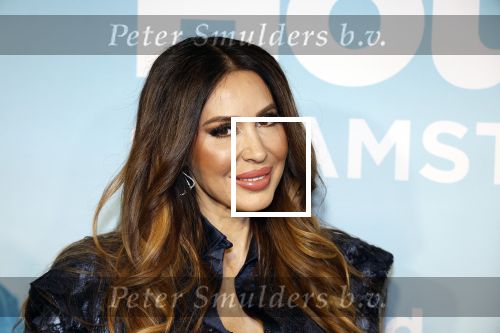Amsterdam 25 oktober 2023
Presentatie seizoen 2 van The real housewives of Amsterdam in het College Hotel.
In seizoen 2 bestaat de cast uit Helle Huizinga Maria Tailor Susanna Klibansky Tamara Elbaz Kimmylien Nguyen en  Cherry Ann Person