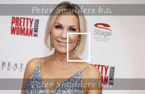 Utrecht 8 oktober 2023
Premiere Pretty Woman in het Beatrixtheater in Utrecht. Tanja Jess en Charly Luske
