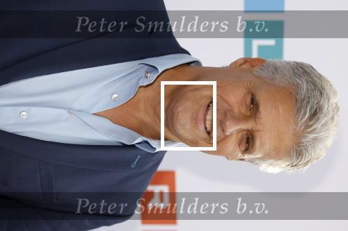 Amstelveen 27 september 2023
Perspresentatie RTL in het Amsterdamse Bos.
Ton Rozenstraten