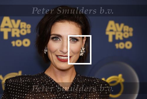 Amsterdam 12 oktober 2023
Televizierring 2023 in Carre .
Vivienne v d Assem