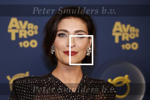Amsterdam 12 oktober 2023
Televizierring 2023 in Carre .
Vivienne v d Assem