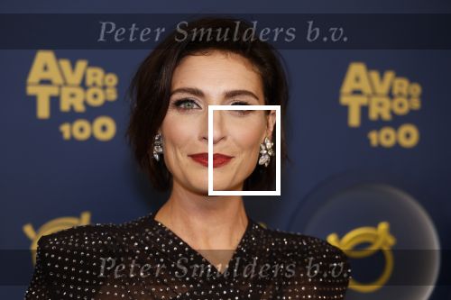 Amsterdam 12 oktober 2023
Televizierring 2023 in Carre .
Vivienne v d Assem