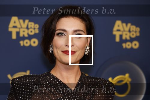 Amsterdam 12 oktober 2023
Televizierring 2023 in Carre .
Vivienne v d Assem