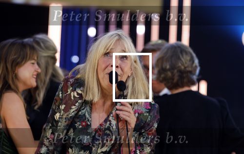 Amsterdam 12 oktober 2023
Televizierring 2023 in Carre .
Will Koopman