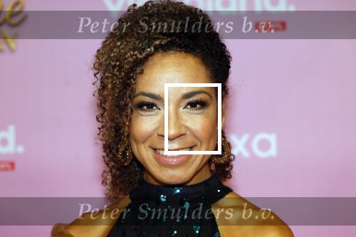 Amsterdam 22 oktober 2024
Premiere Gooische vrouwen in het DeLaMar theater. Amara Onwuka