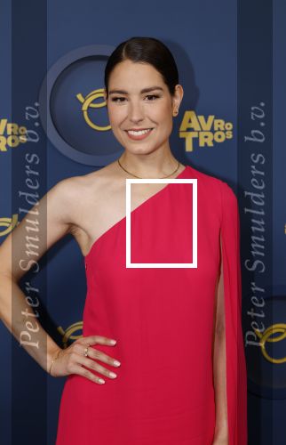 Amsterdam 17 oktober 2024
Het televizierring gala 2024  in carre . 
Amber Brantsen